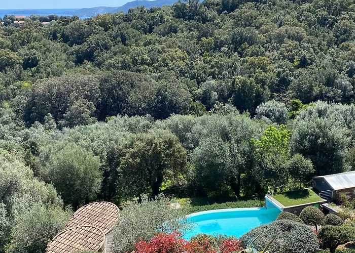 Vue En Avec Piscine Ferienhaus *