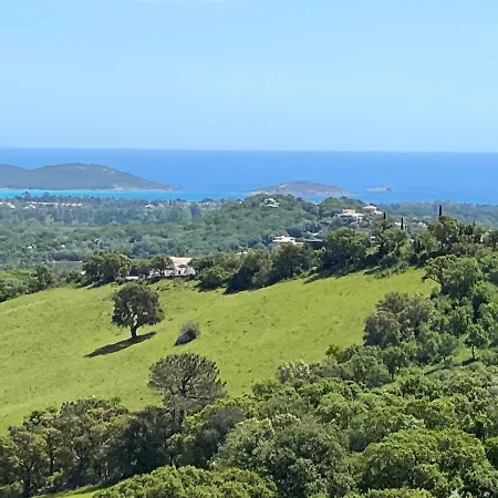 Vue En Avec Piscine * Porto-Vecchio (Corsica)