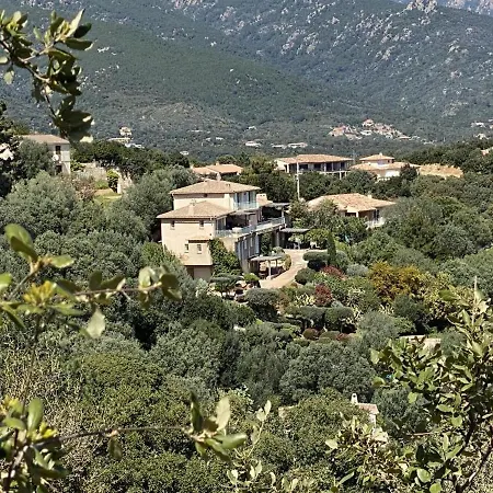 Vue En Avec Piscine