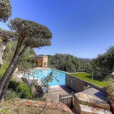 Vue En Avec Piscine * Porto Vecchio