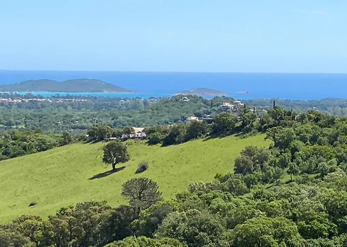 Vue En Résidence Avec Piscine * Porto Vecchio