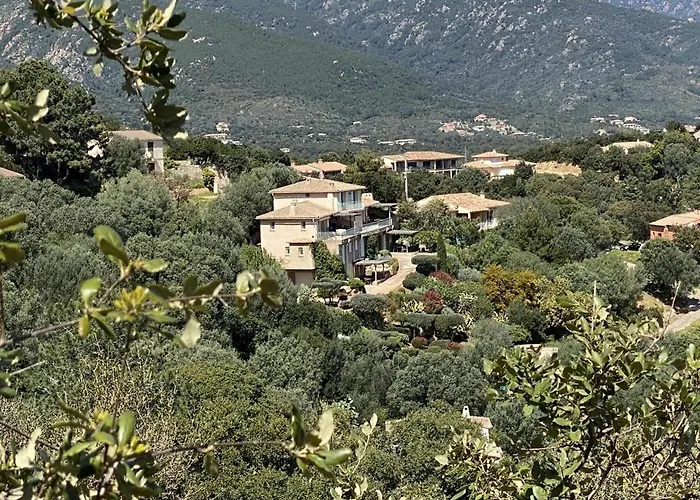 Vue En Résidence Avec Piscine